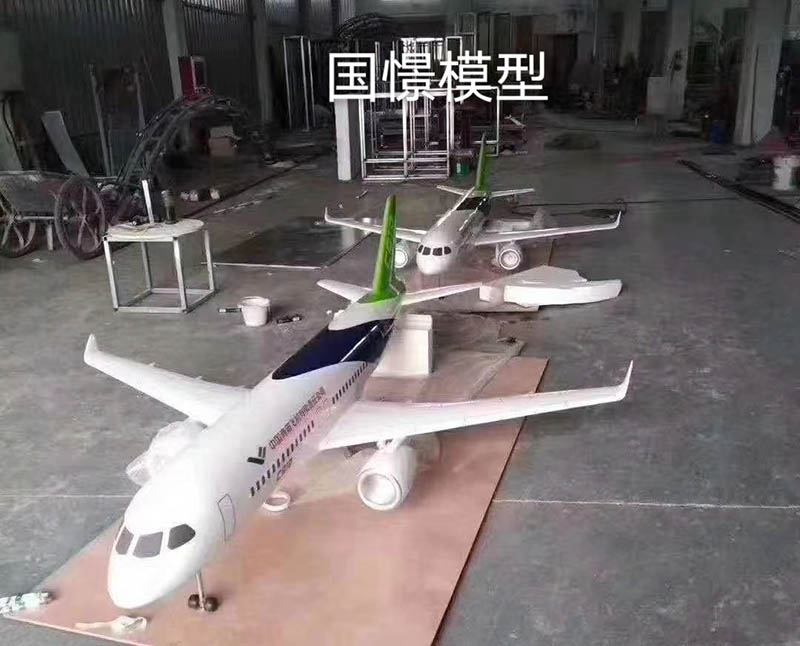 吉水县飞机模型